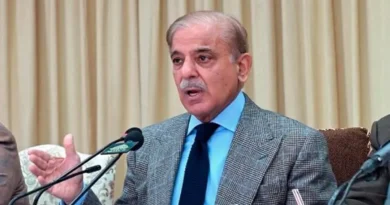 No new duty will be imposed on solar panels: Shahbaz Sharif