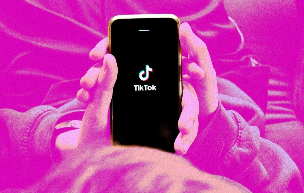 tiktok erased 2 crore videos